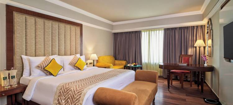 斯沃斯提高级酒店(Hotel Swosti Premium Bhubaneswar)图片
