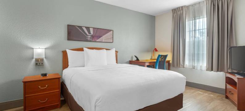 梅恩斯泰套房坦帕莫菲特-南佛罗里达大学(MainStay Suites Tampa Moffitt-USF)图片