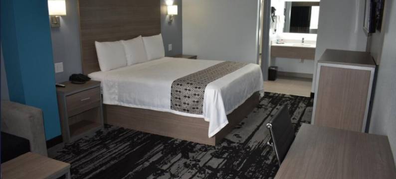 皇家酒店 IAH 机场北休斯顿 I-45(Hotel Royale IAH Airport North Houston I-45)图片