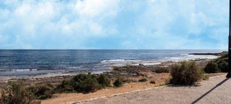 托雷维耶哈的现代海滨宝石(Modern Coastal Gem, Torrevieja)图片
