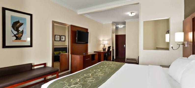 科珀斯克里斯蒂中央舒适套房酒店(Comfort Suites Central)图片