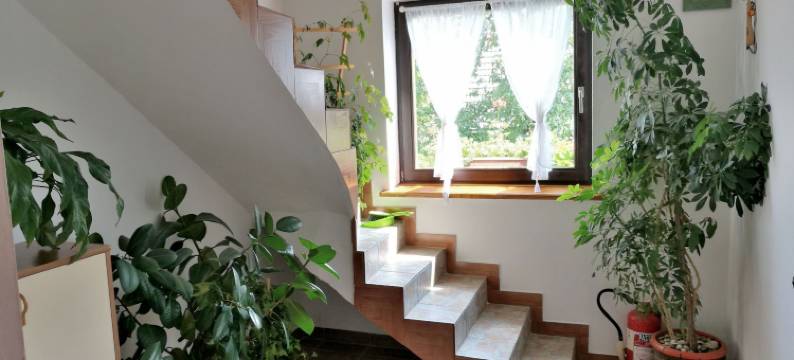 玛里卡之家酒店(House Marica)图片