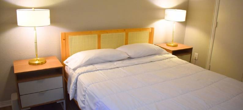 Modern 3 Bdr home! Near everything!图片