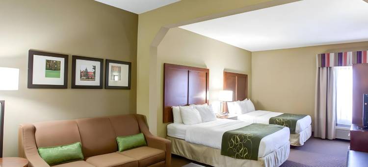 克罗斯维尔舒适套房酒店(Comfort Suites)图片