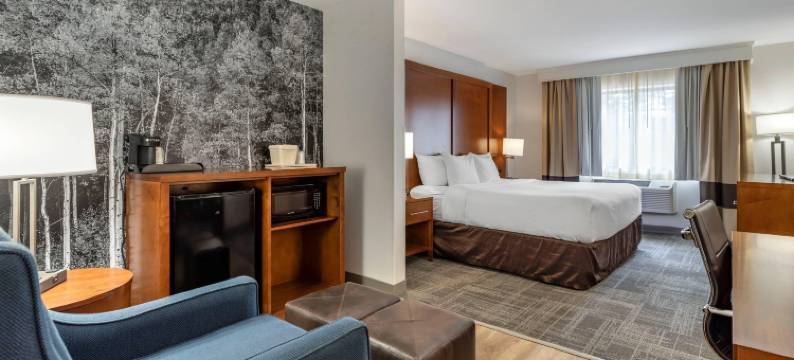 埃弗格林百汇金西舒适套房酒店(Comfort Suites Golden West on Evergreen Parkway)图片