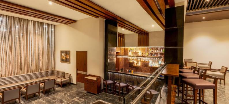 哥打丽怡酒店(Country Inn & Suites by Radisson Kota)图片