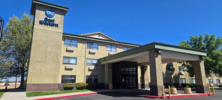阿尔伯克基绿树旅馆(Best Western North I-25 Hotel)图片