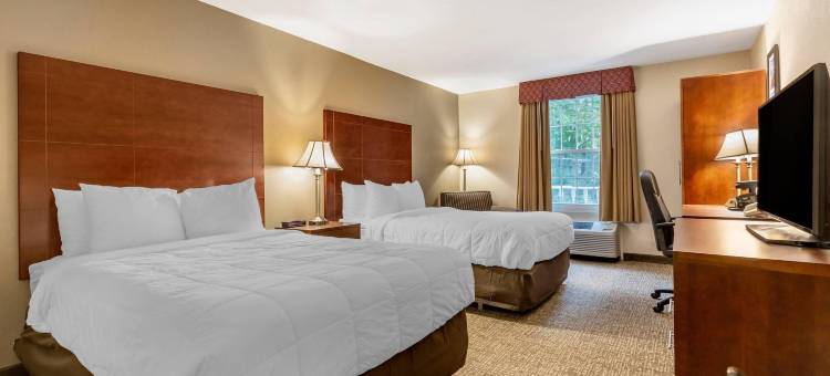 福克斯伯勒-曼斯菲尔德舒适酒店(Comfort Inn Foxboro - Mansfield)图片
