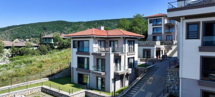 萨潘贾贝斯特韦斯特优质酒店(Best Western Plus Sapanca)图片