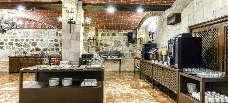 托莱多帝国饭店(Sercotel Toledo Imperial)图片