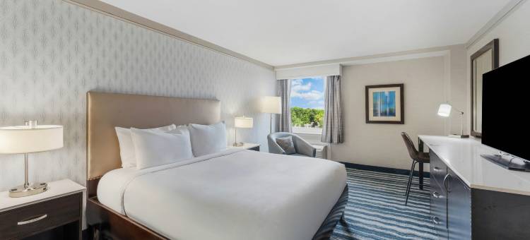 威尔明顿希尔顿逸林酒店(DoubleTree by Hilton Wilmington)图片
