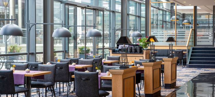 马里添酒店-德雷斯顿(Maritim Hotel Dresden)图片