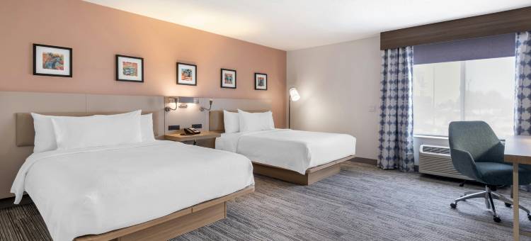 列克星敦希尔顿花园酒店(Hilton Garden Inn Lexington Hamburg)图片