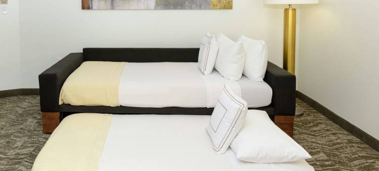 休斯顿国家航空航天局/西布鲁克万豪SpringHill酒店(SpringHill Suites Houston NASA/Seabrook)图片