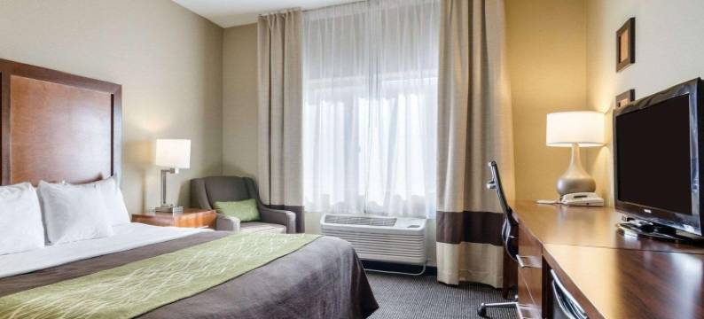 舒适酒店(Comfort Inn)图片