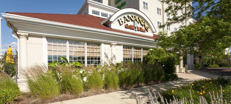 洲际酒店集团 EVEN 酒店芝加哥丁雷公园会议中心(Even Hotel Chicago-Tinley Park-Conv Ctr)图片