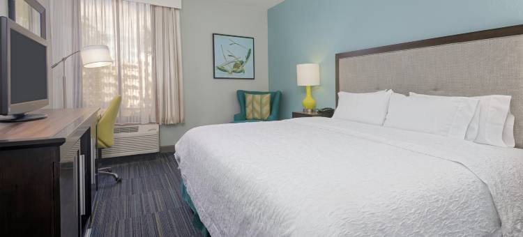 奥兰多欢朋酒店-近环球大道/国际大道(Hampton Inn Orlando Near Universal Blvd/International Dr)图片