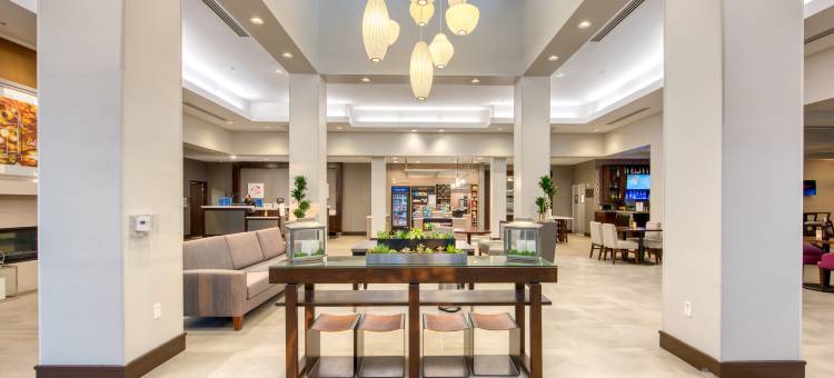 欧文奥兰治县机场希尔顿花园酒店(Hilton Garden Inn Irvine/Orange County Airport)图片