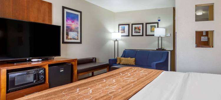 霍布斯舒适全套房酒店(Comfort Suites)图片