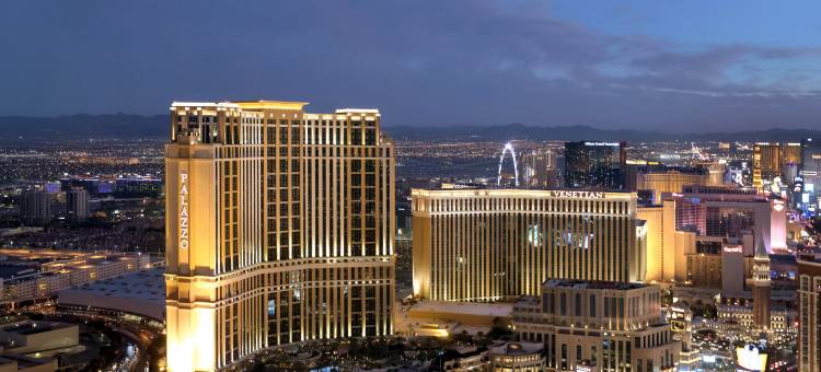 威尼斯度假酒店(The Venetian® Resort Las Vegas)图片