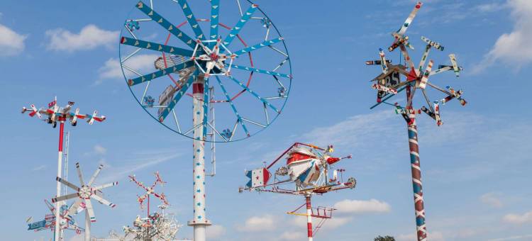 威尔逊麦客达套房酒店(Microtel Inn & Suites by Wyndham Wilson)图片