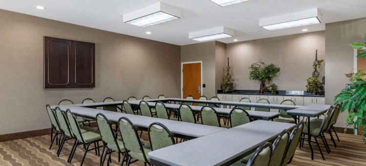 舒适套房酒店(Comfort Inn & Suites)图片