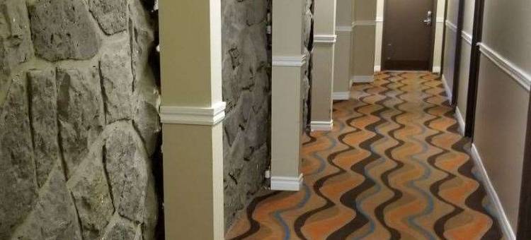 蒙特利尔机场呗盟旅馆套房酒店(Baymont by Wyndham Montreal Airport)图片