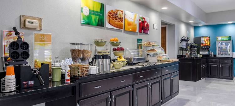 亚特兰大南麦克多纳夫凯艺酒店(Quality Inn McDonough Atlanta South)图片