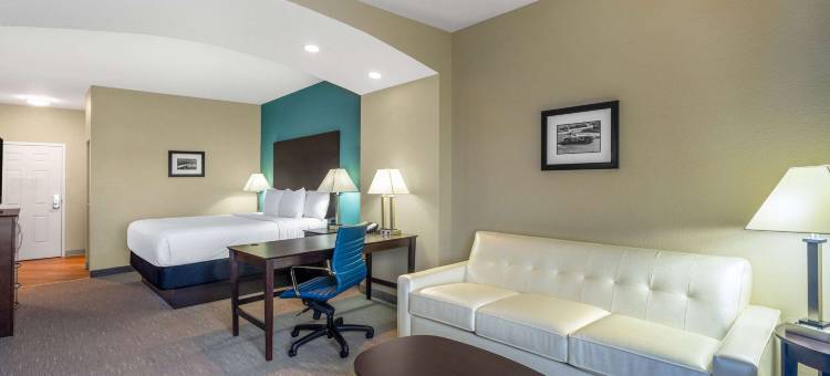 锡布灵拉昆塔温德姆套房酒店(La Quinta Inn & Suites by Wyndham Sebring)图片