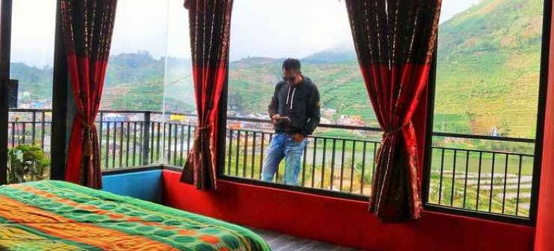 Afton Homestay Sikunir图片