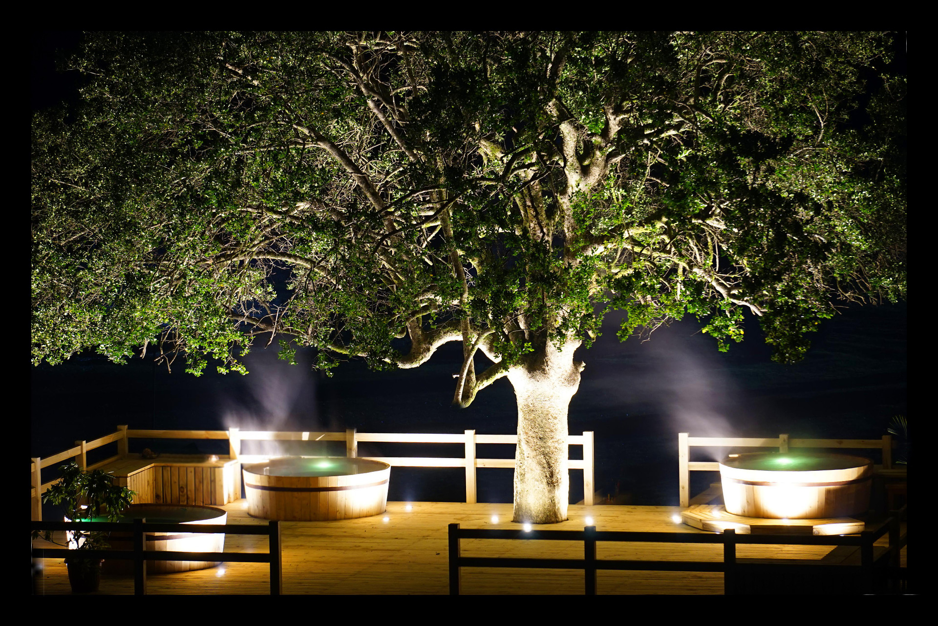 Hotel Pucon Green Park Over view