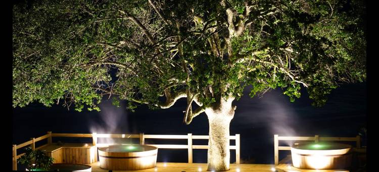 普孔绿色公园酒店(Hotel Pucon Green Park)图片