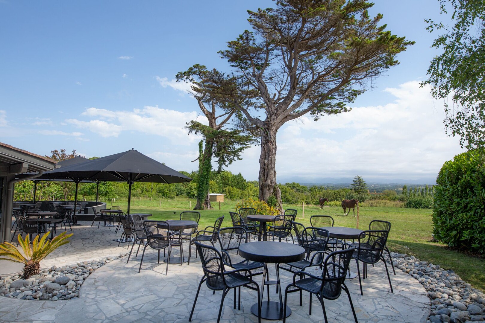 Chateau du Clair de LuneOver view