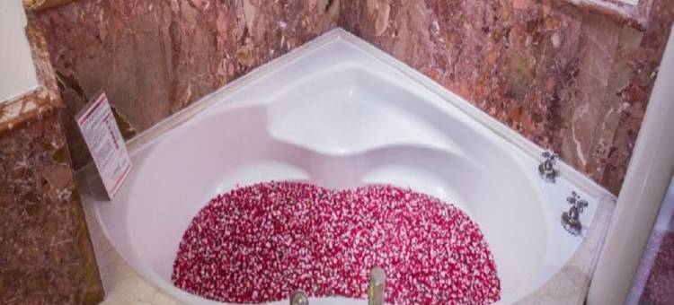 泰姬克里希纳酒店-海得拉巴(Taj Krishna)图片