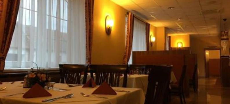 瑞萨维酒店(Hotel Rysavy)图片