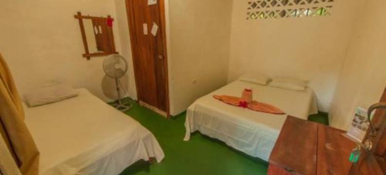 3 月阳台托尔图格罗小屋酒店(Cabinas Balcon del Mar Tortuguero)图片