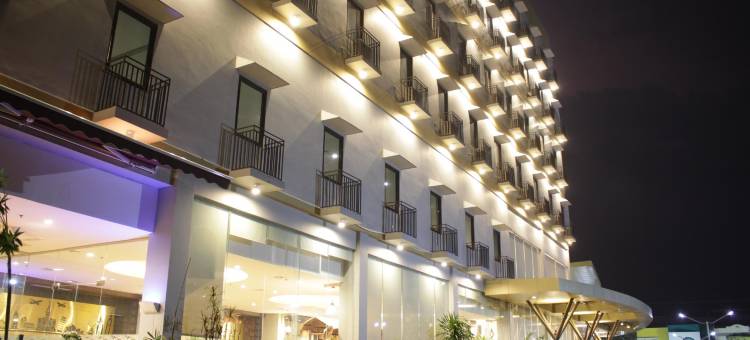 锦石-GKB霍里森酒店(Hotel Horison GKB - Gresik)图片