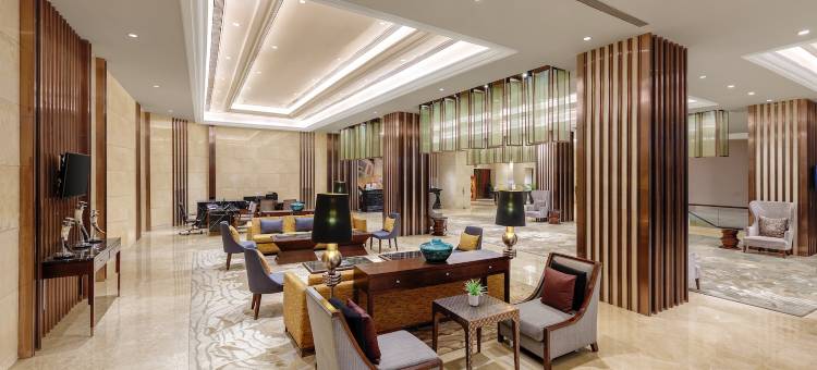 新德里机场城傲世广场酒店(Pride Plaza Hotel, Aerocity New Delhi)图片