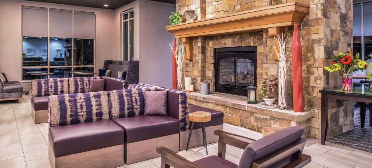 盐湖城市区希尔顿花园酒店(Hilton Garden Inn Salt Lake City Downtown)图片