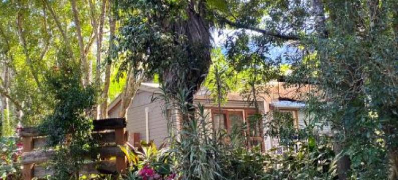 Birdsong Bellingen Farm图片