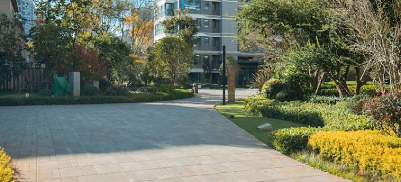 房东的猫公寓(环湖南路分店)图片