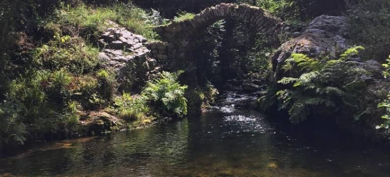 圣何黑旅馆(Pensión San Jorge)图片