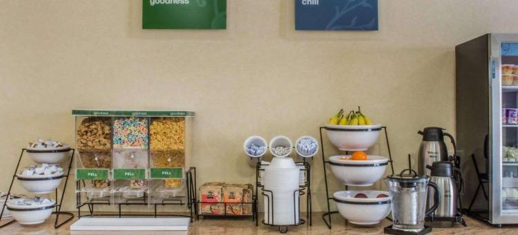 福明顿舒适酒店及套房(Comfort Inn & Suites Farmington - Victor)图片