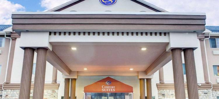 舒适套房酒店-史蒂文斯维尔圣约瑟夫(Comfort Suites Stevensville - St Joseph)图片