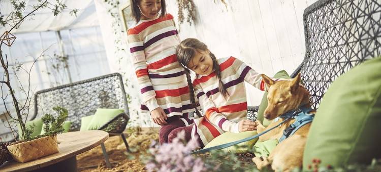 星野集团 RISONARE 那须(Hoshino Resorts RISONARE Nasu)图片