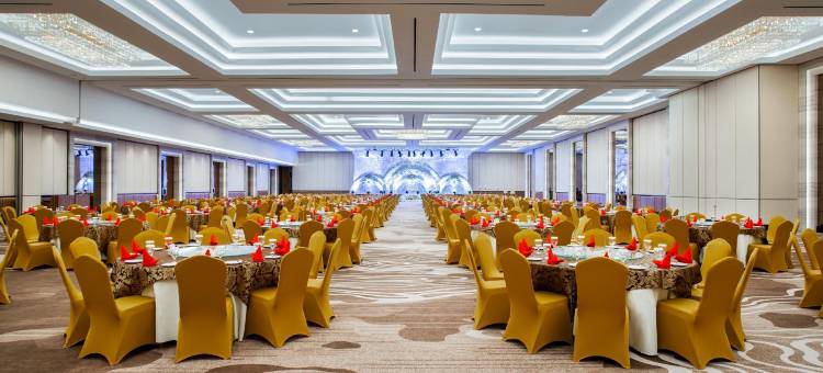 巨港温德姆奥皮酒店(Wyndham Opi Hotel Palembang)图片