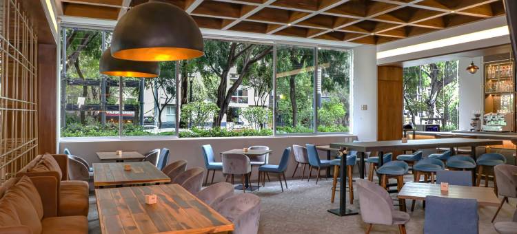 墨西哥城罗马科洛尼亚福朋喜来登酒店(Four Points by Sheraton Mexico City, Colonia Roma)图片