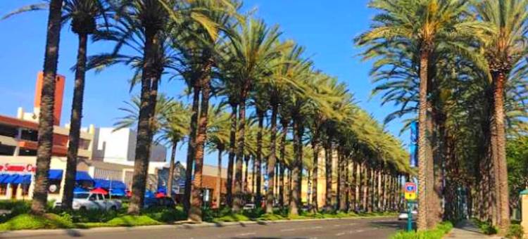 阿纳海姆布波什特尔斯酒店(Bposhtels Anaheim)图片