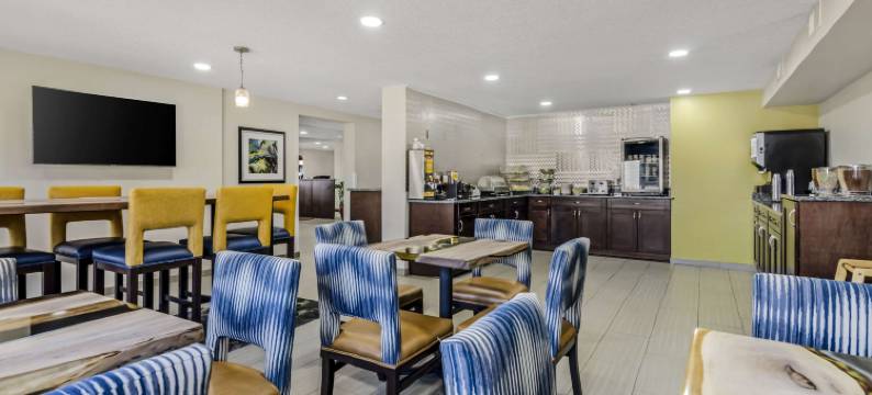 斯丹顿东凯隆波因特酒店(Clarion Pointe Staunton East)图片