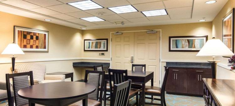 Stafford Suites by IHG图片